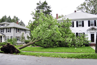 Hurricane & wind damage, hurricane recovery services, Cape Cod, roof & gutter damage reconstruction, South Coast MA