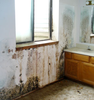 Water damage cleanup & recovery services, basement water damage reconstruction, disaster recovery services, Cape Cod, South Coast MA, South Shore MA