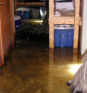 Cape Cod water damage recovery services, South Coast MA water damage reconstruction, South Shore MA disaster recovery services